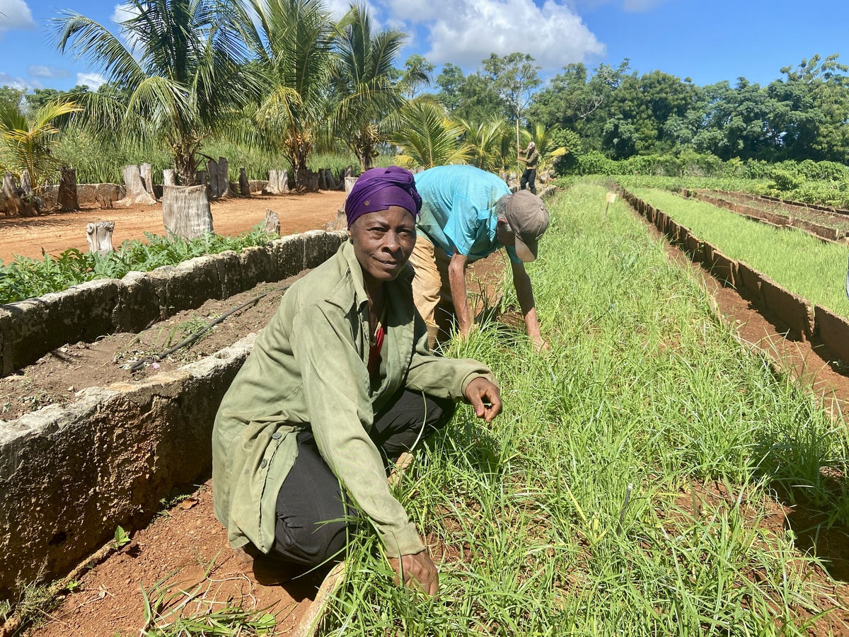 Centro de Reflexión y Diálogo Matanzas