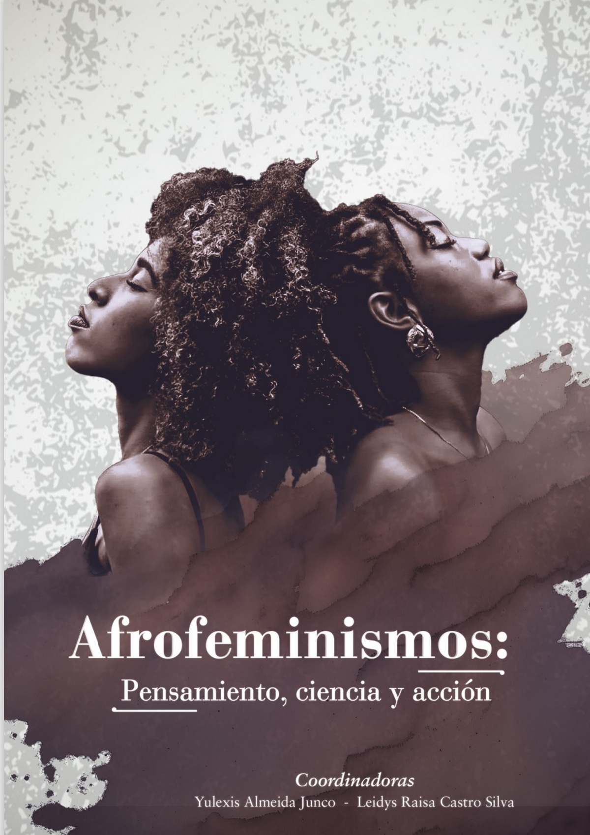 Libro Afrofeminismos: pensamiento, ciencia y acción