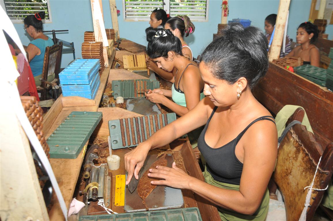 Mujeres trabajadoras en torcido de tabaco