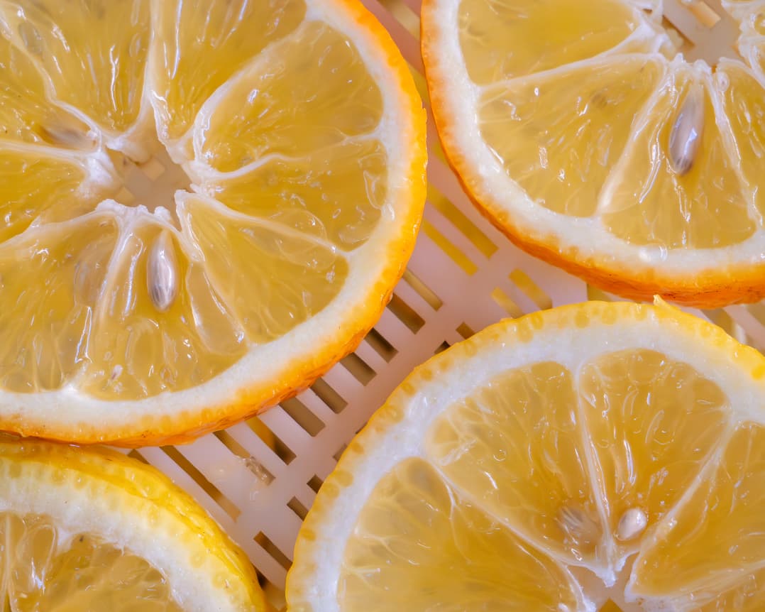 Emprendimiento en Cuba: Deshidratados Habana SRL