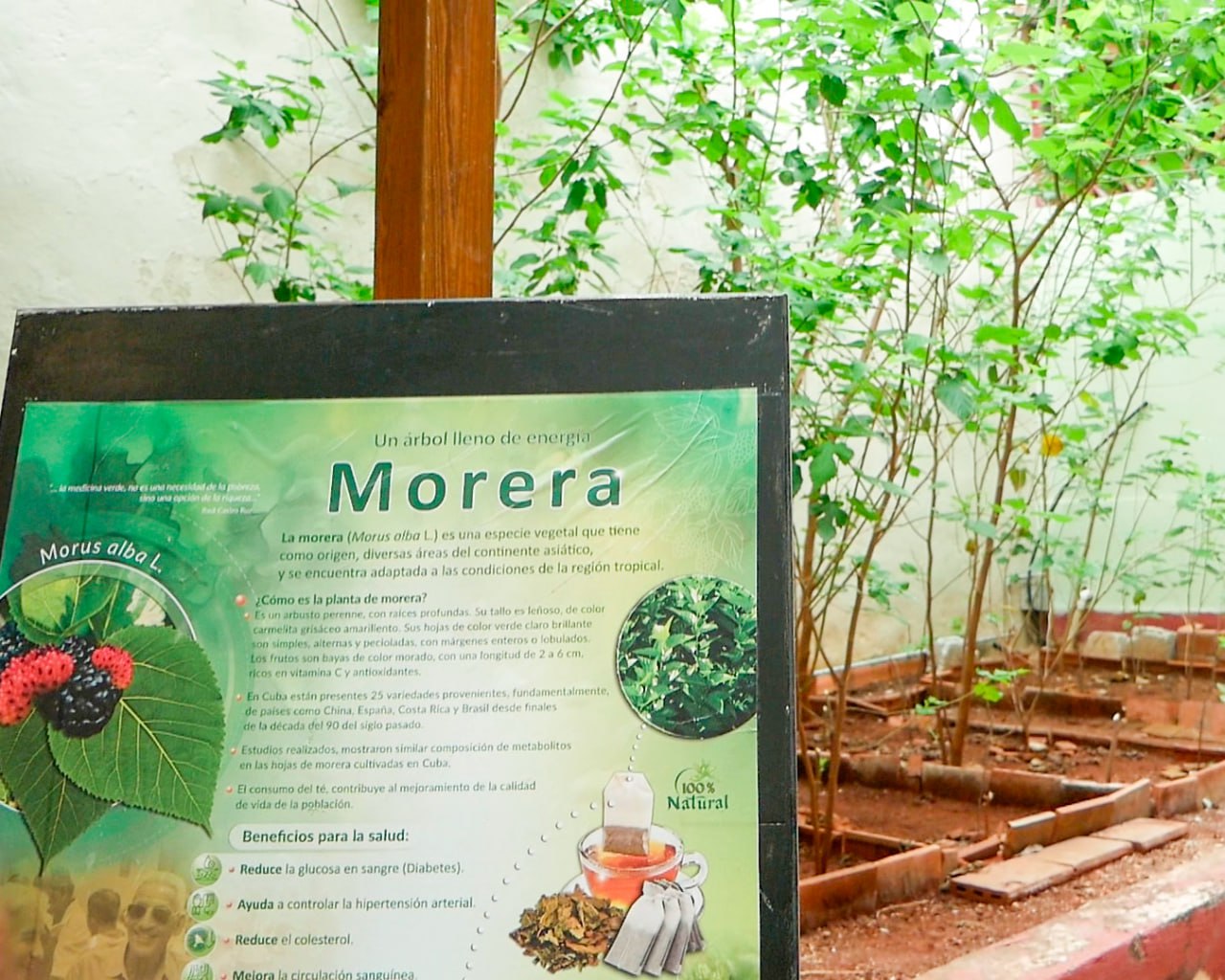 Emprendimiento Sedavid, en el Barrio Chino de La Habana