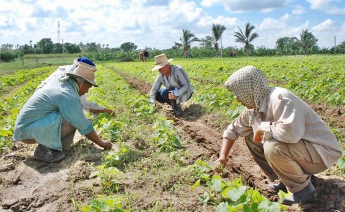 Mujeres en zonas rurales