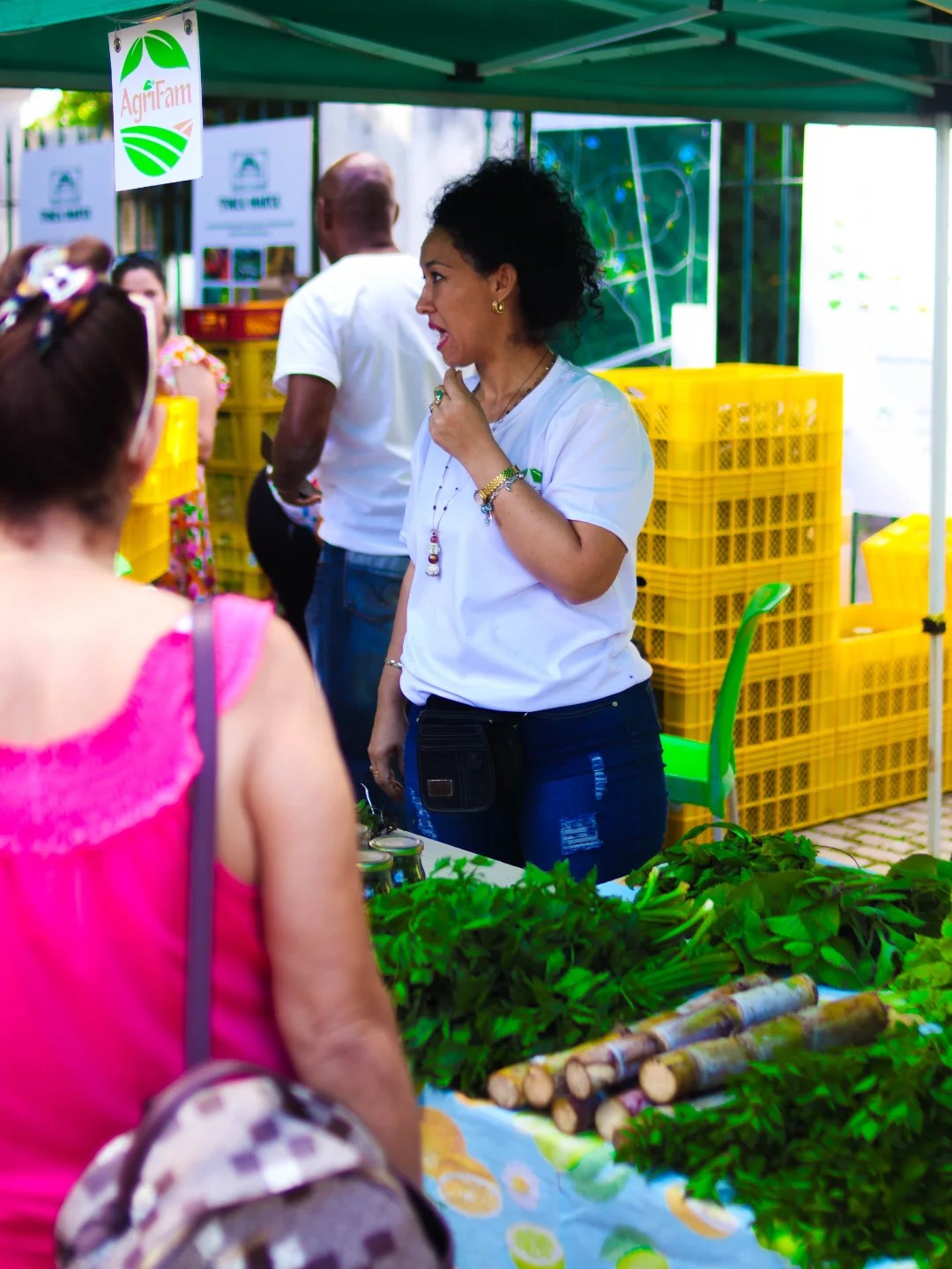 Mercado de la tierra, en la Quinta de los Molinos