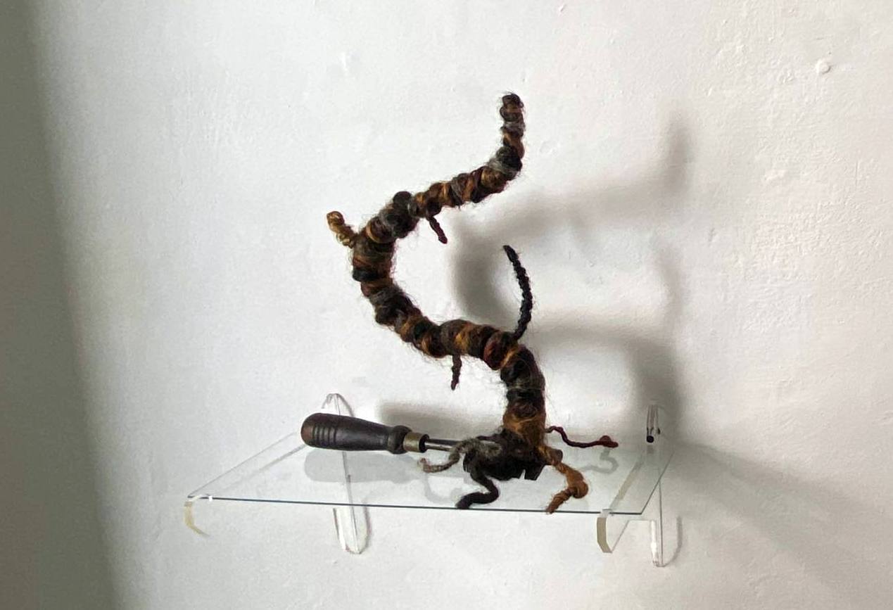 Exposición Relatos, de la fotógrafa Yeilén ruz