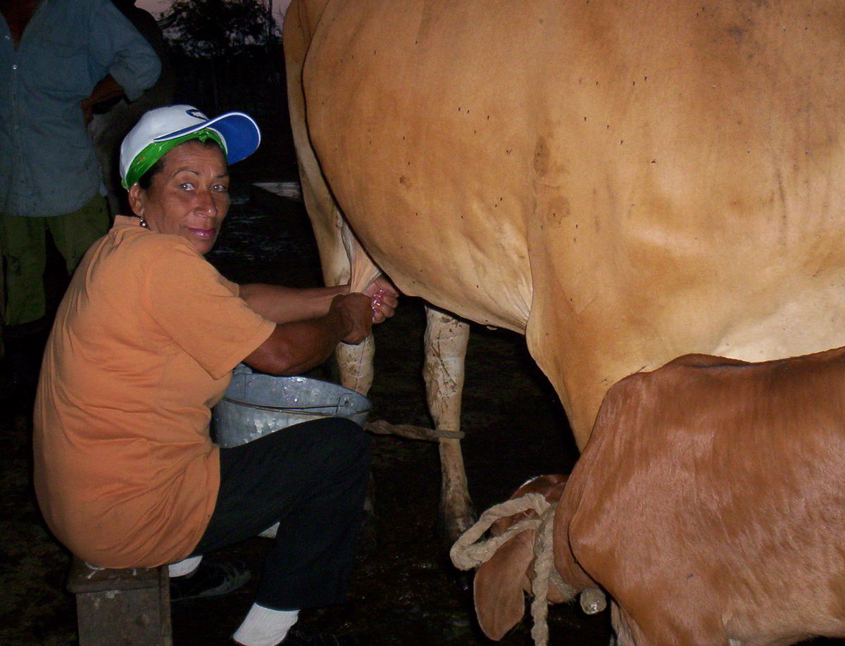 Mujeres rurales y empleo en Cuba