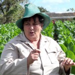 Milena Méndez Nosti, 46 años, productora de tabaco en Pinar del Río.