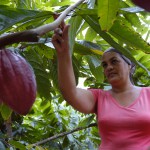 Para favorecer la participación de estas mujeres existe una Red Nacional de Organismos e Instituciones de apoyo a la Mujer Rural, que coordina la Federación de Mujeres Cubanas