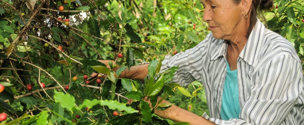 Gelmys Reyes, productora de alimentos en Las Tunas