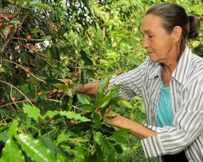 Gelmys Reyes, productora de alimentos en Las Tunas
