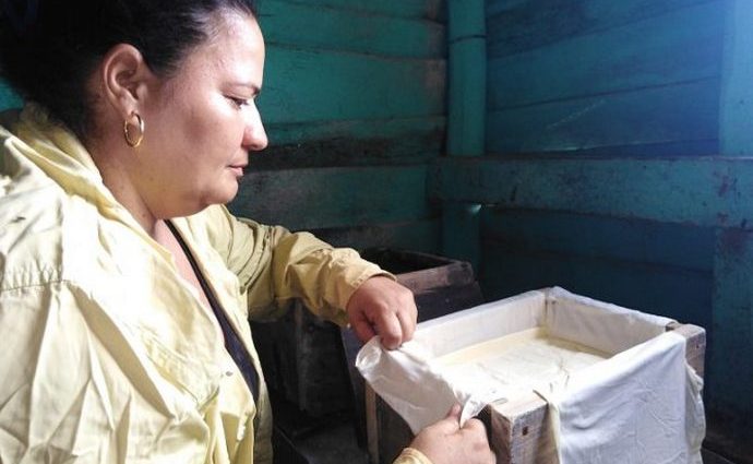 Proyecto de Desarrollo Local “Las Margaritas” Ganaderia