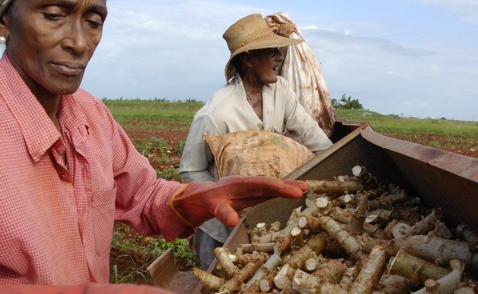 Mujeres en cooperativas rurales