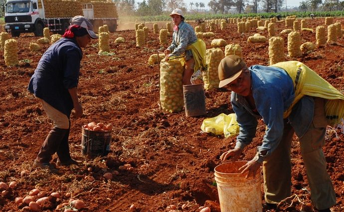 Mujeres sector agropecuario