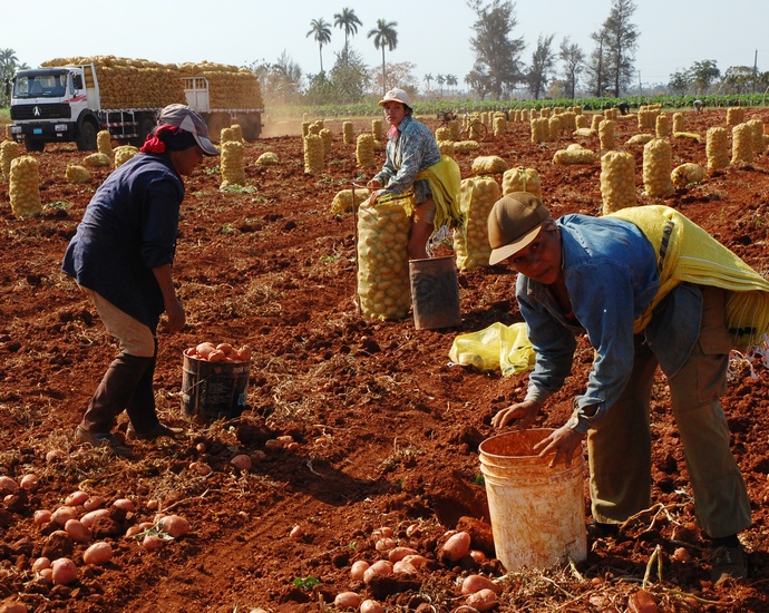 Mujeres sector agropecuario
