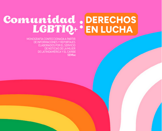 Comunidad LGBTIQ+: derechos en lucha (Monografía)