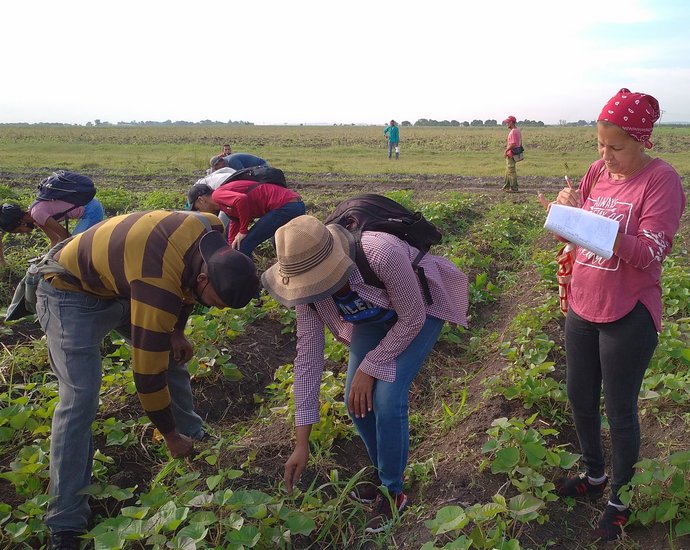 Contramaestre, proyecto de cooperaión Agro Frutales