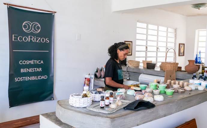 Proyecto EcoRizos de María Carla Figuerola