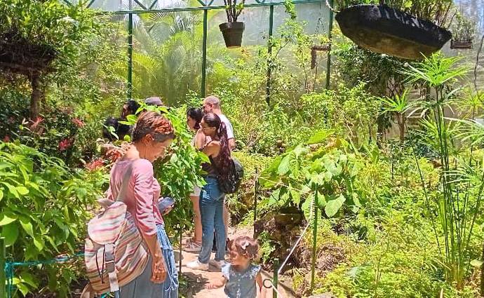 Jardín Botánico de La Habana, Quinta de los Molinos