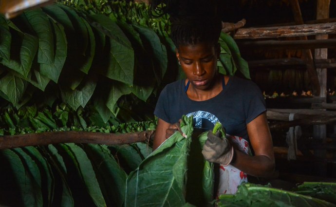 Mujeres productoras agrícolas